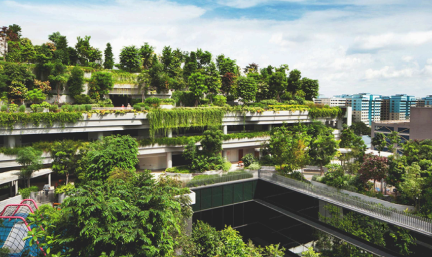 An image of green buildings