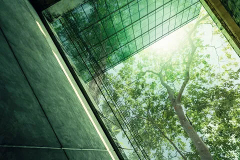 ESG_2022